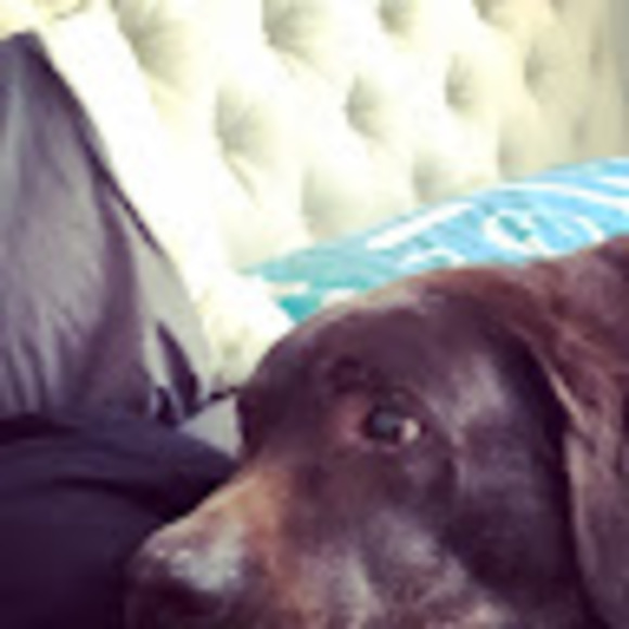 Meet your Posher, Maya - Picture 1 of 1